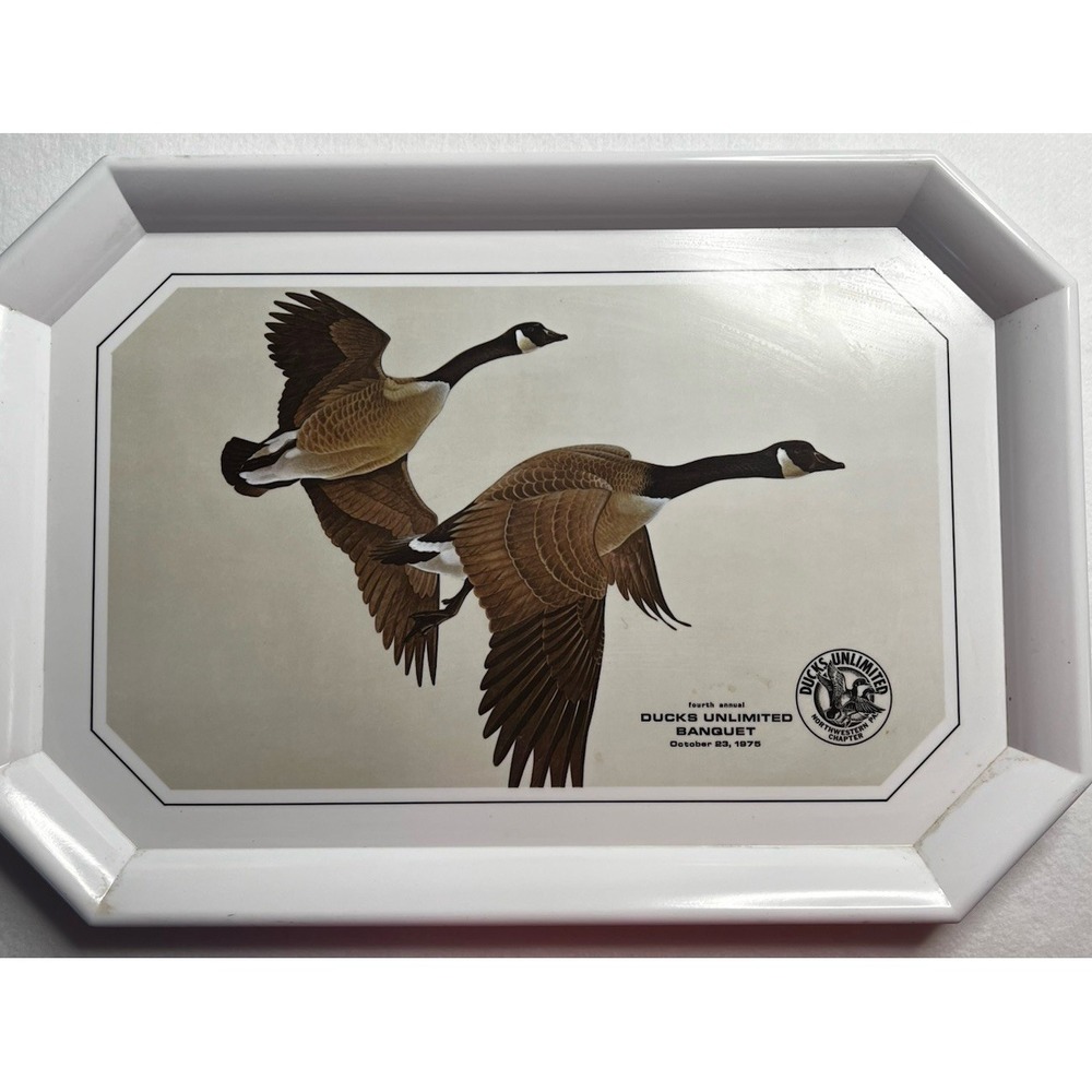 Ducks Unlimited 1975 Banquet Canada Goose Brookpark Serving Tray Vintage 20"
